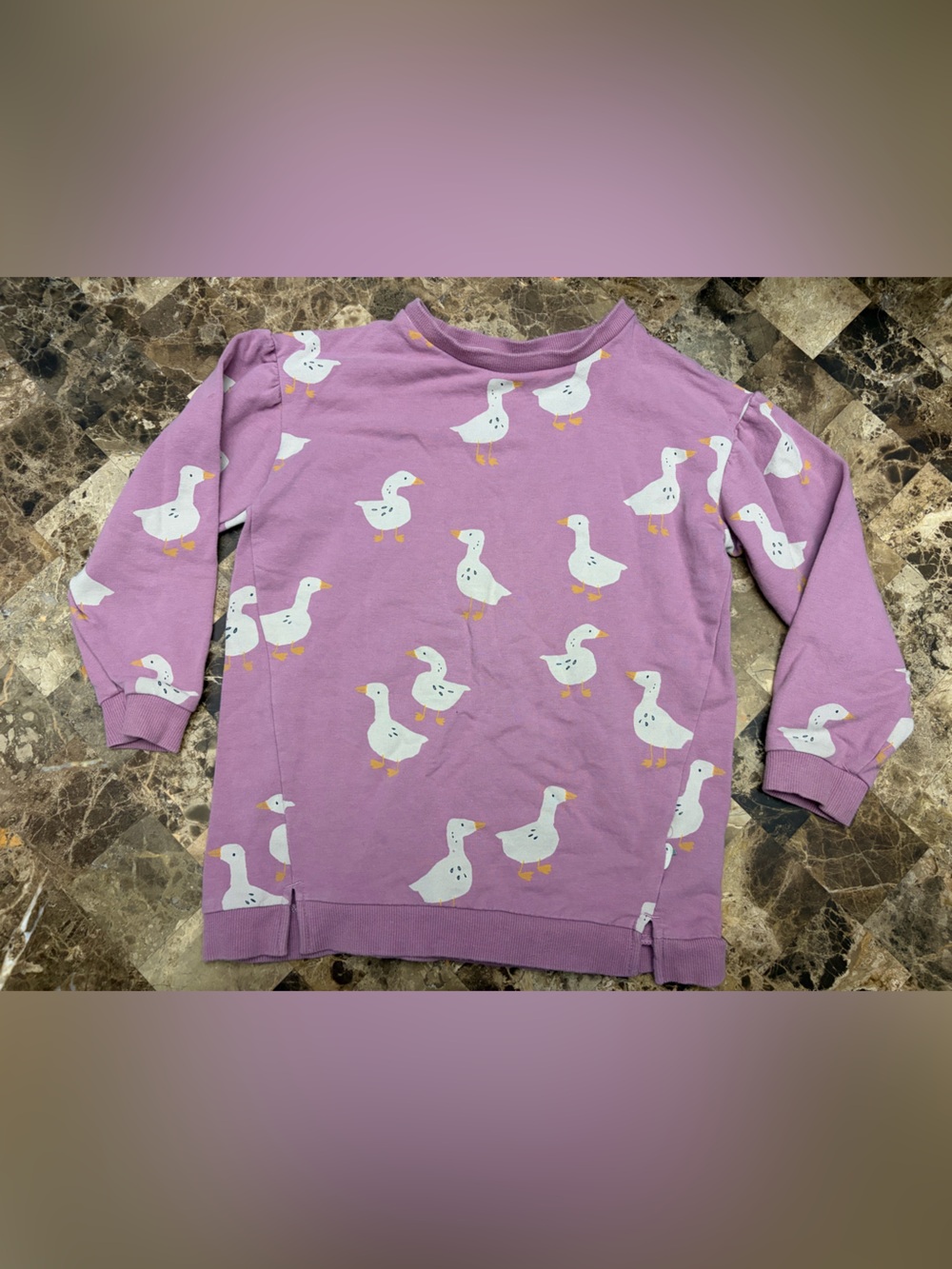 Souris Mini crewneck longsleeve 5 years